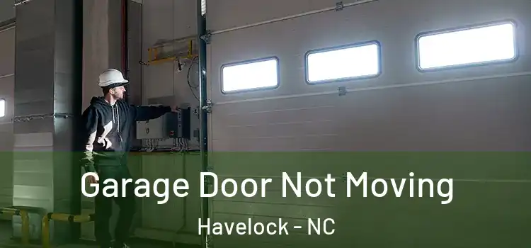  Garage Door Not Moving Havelock - NC