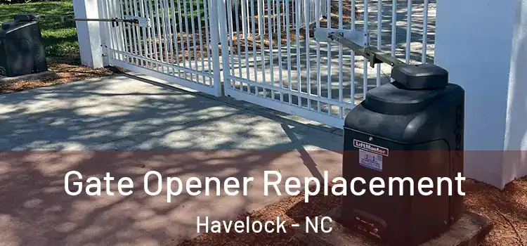  Gate Opener Replacement Havelock - NC
