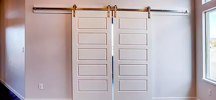 Glass Barn Door with Installation Hardware Kit Havelock