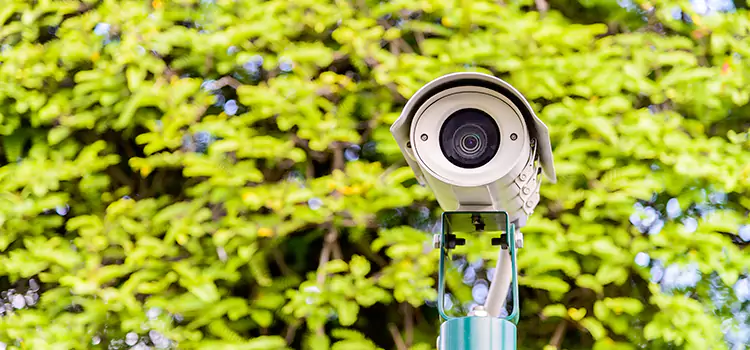 Advanced Surveillance Solutions for Every Need in Havelock