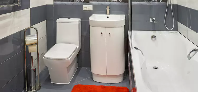 Hansgrohe Shaving Mirror Havelock
