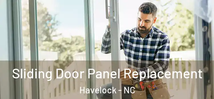  Sliding Door Panel Replacement Havelock - NC